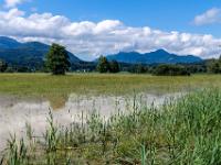 Überschwemmte Felder nahe dem Chiemsee mit Bergblick